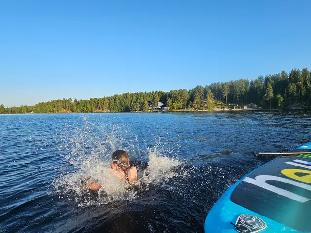 SUP lauta MAX – 330cm kuva 3